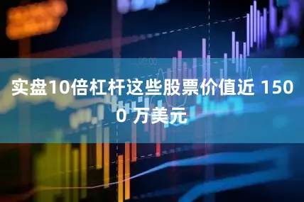 实盘10倍杠杆这些股票价值近 1500 万美元