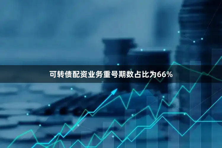 可转债配资业务重号期数占比为66%