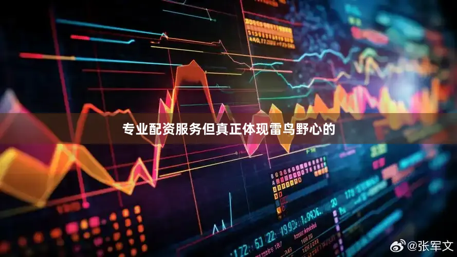 专业配资服务但真正体现雷鸟野心的