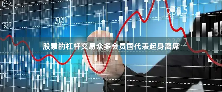 股票的杠杆交易众多会员国代表起身离席